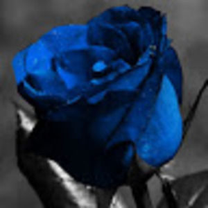 Meet your Posher, Tonya